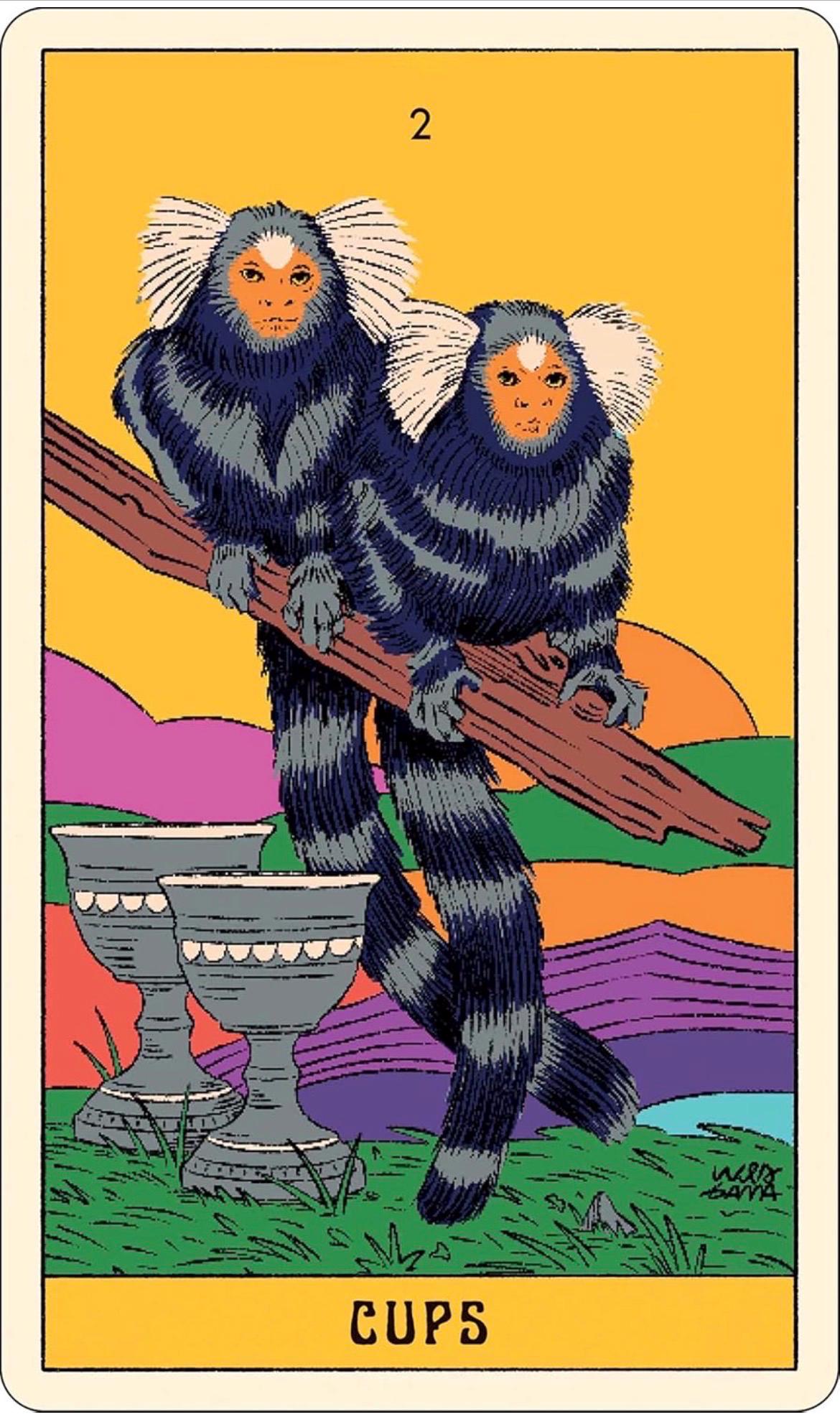 Mystical Forest Tarot: A 78-Card Deck and Guidebook
