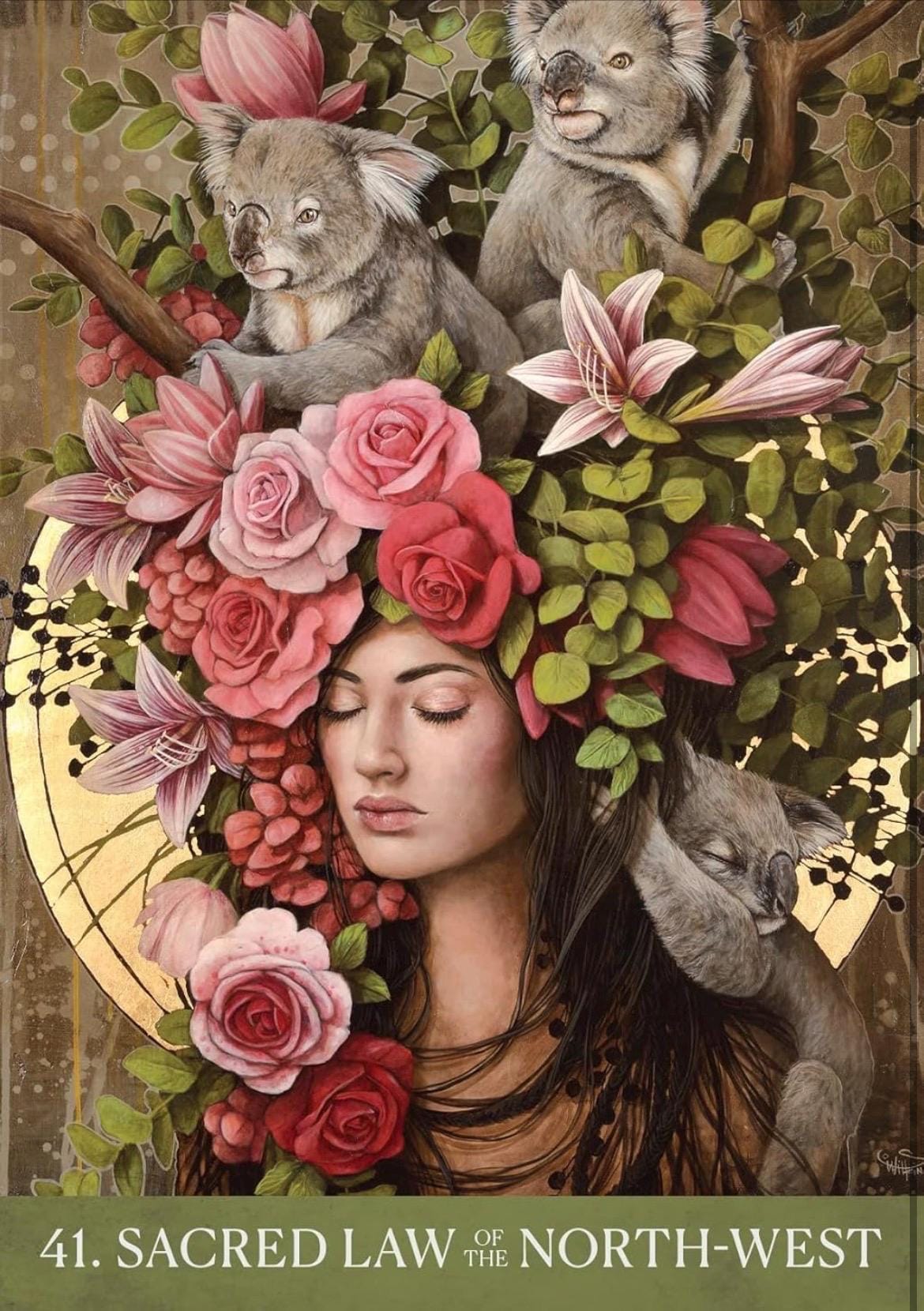 Medicine Heart Oracle Cards | Alana Fairchild Shamanic Wisdom (44 Cards + Guidebook)