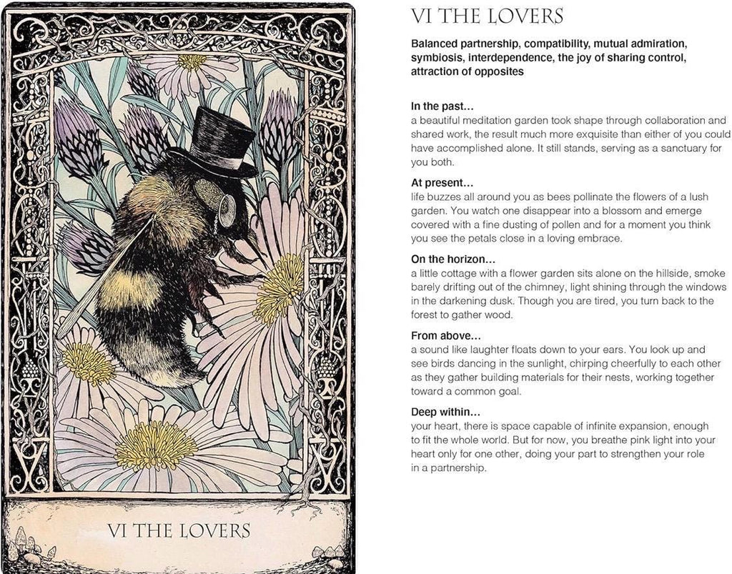 Tarot of Tales Deck: Folk-Tale Inspired, 78 Card Set