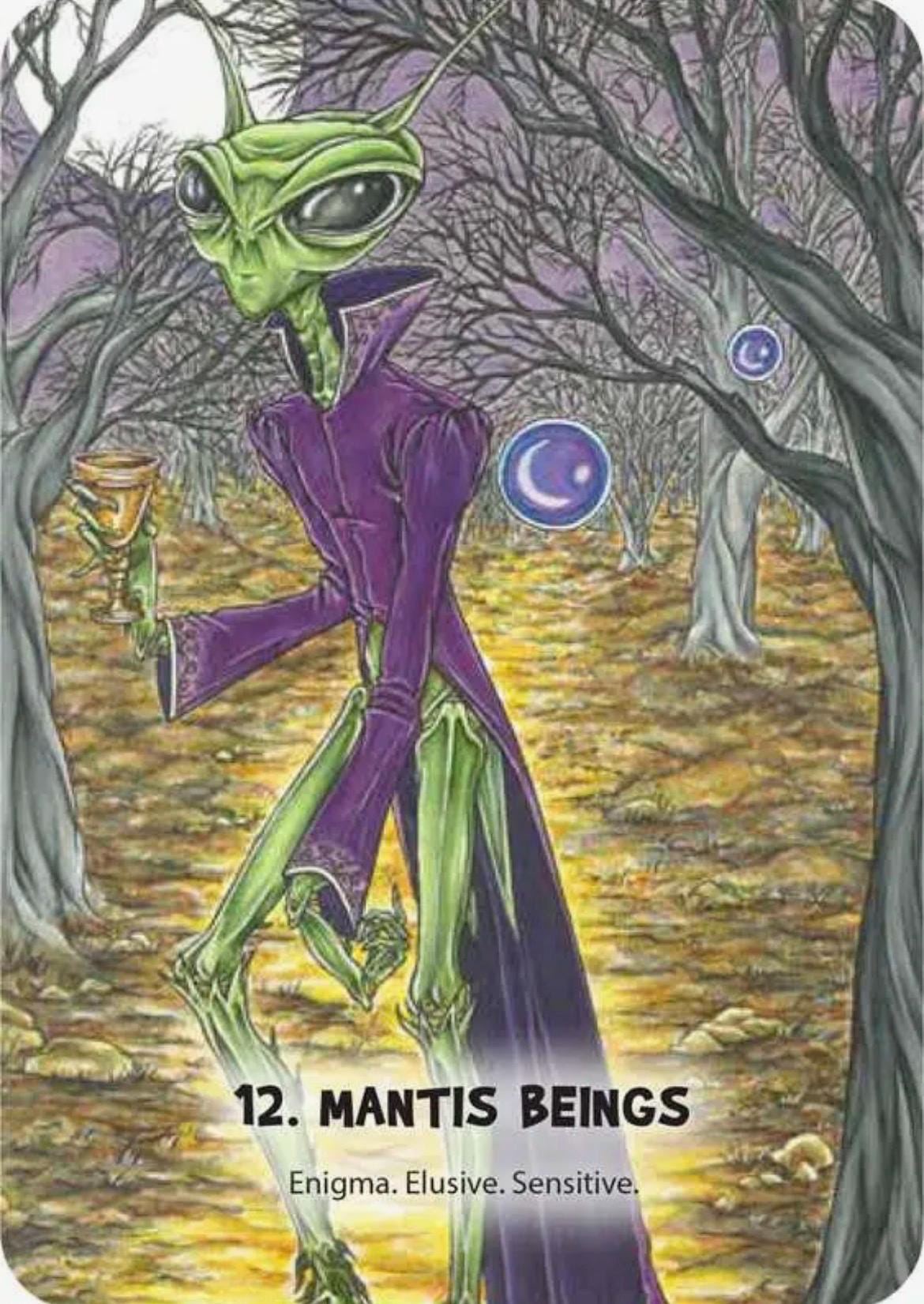 Mystic Martian Oracle (Cards + Guidebook) | New & Factory Sealed | Alien Oracle Deck | Lisa Porter | Rockpool