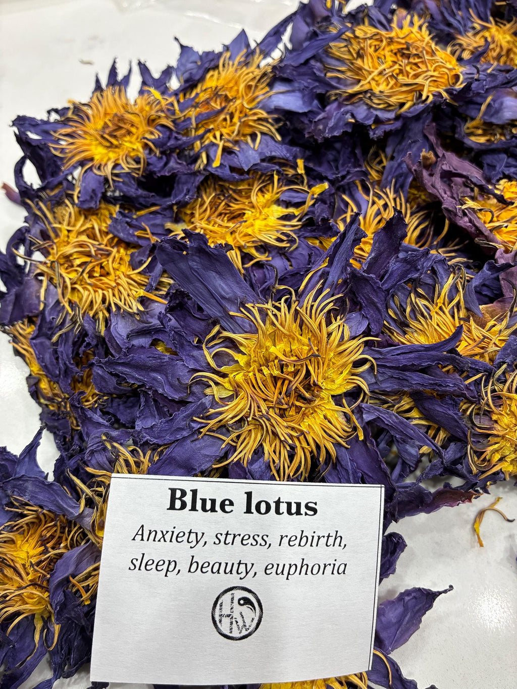 Whole Dried Blue Lotus Flower | Nymphaea Caerulea Botanical Supply (Sold by Weight 4-16 ounces )
