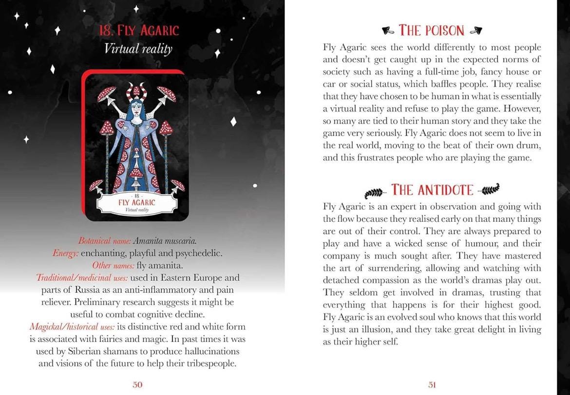 Deadly Apothecary Oracle: Poisonous plants as guides and healers (Rockpool Oracle)