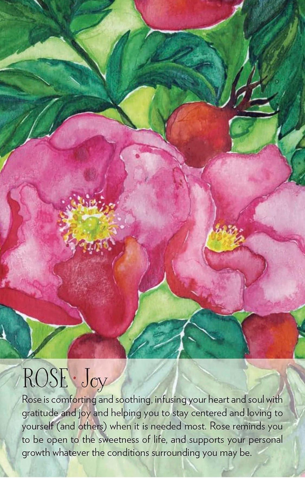 Soulflower Plant Spirit Oracle: 44-Card Deck and Guidebook