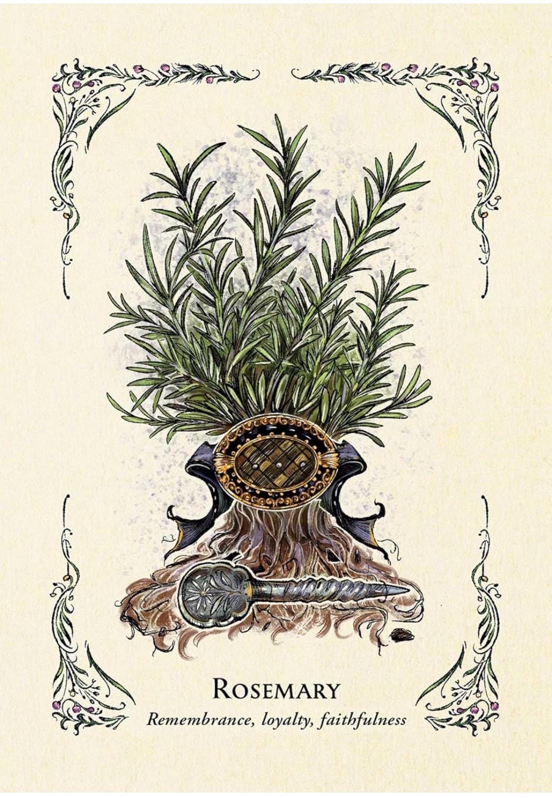 Green Witch Oracle Deck: Natural Magic, Wisdom & Insight