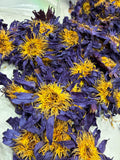 Whole Dried Blue Lotus Flower | Nymphaea Caerulea Botanical Supply (Sold by Weight 4-16 ounces )