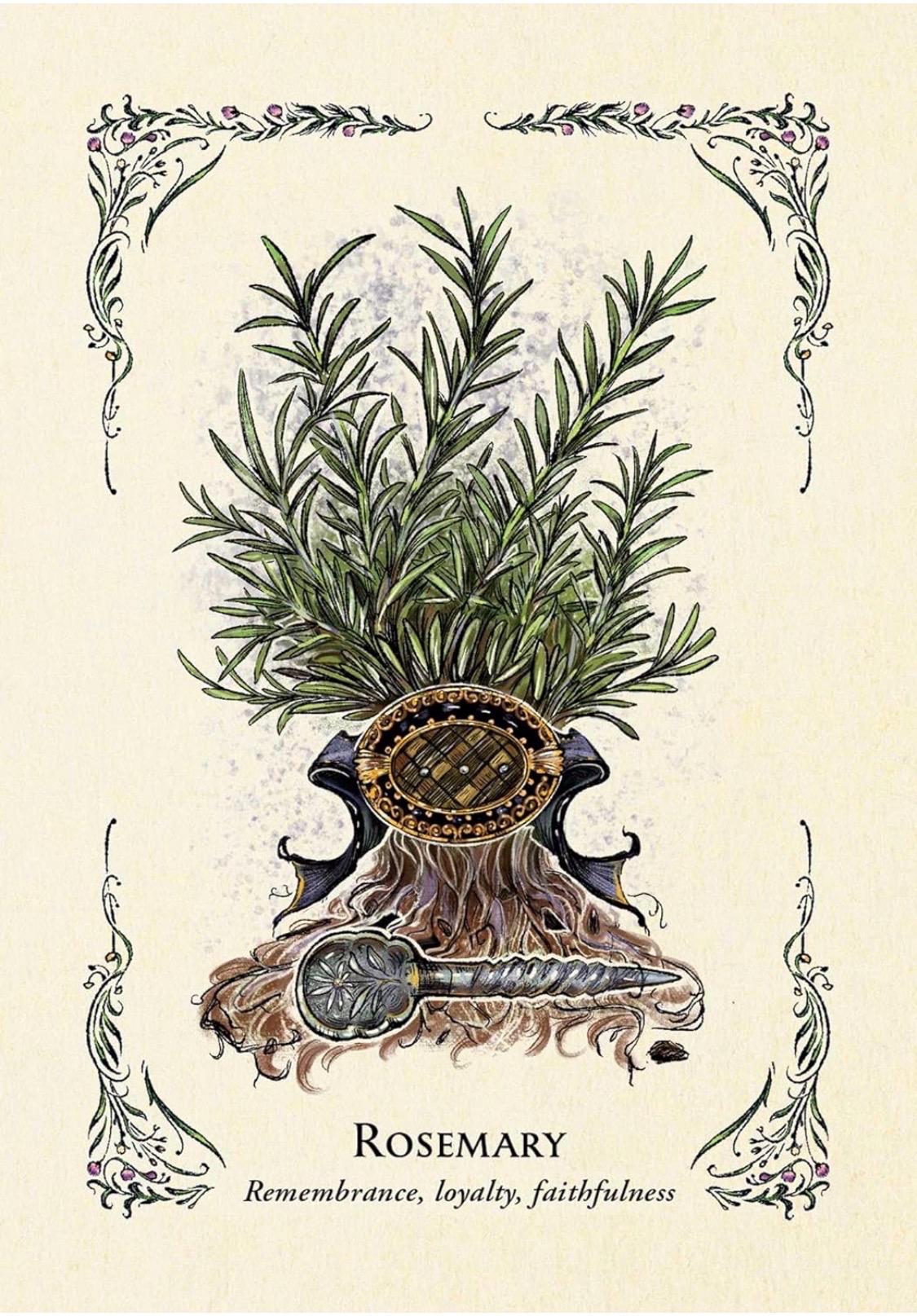 Green Witch Oracle Deck: Natural Magic, Wisdom & Insight