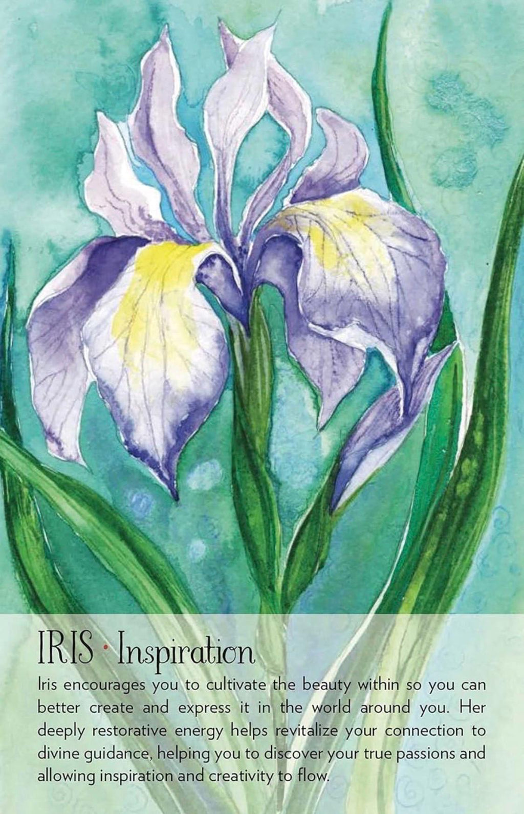 Soulflower Plant Spirit Oracle: 44-Card Deck and Guidebook