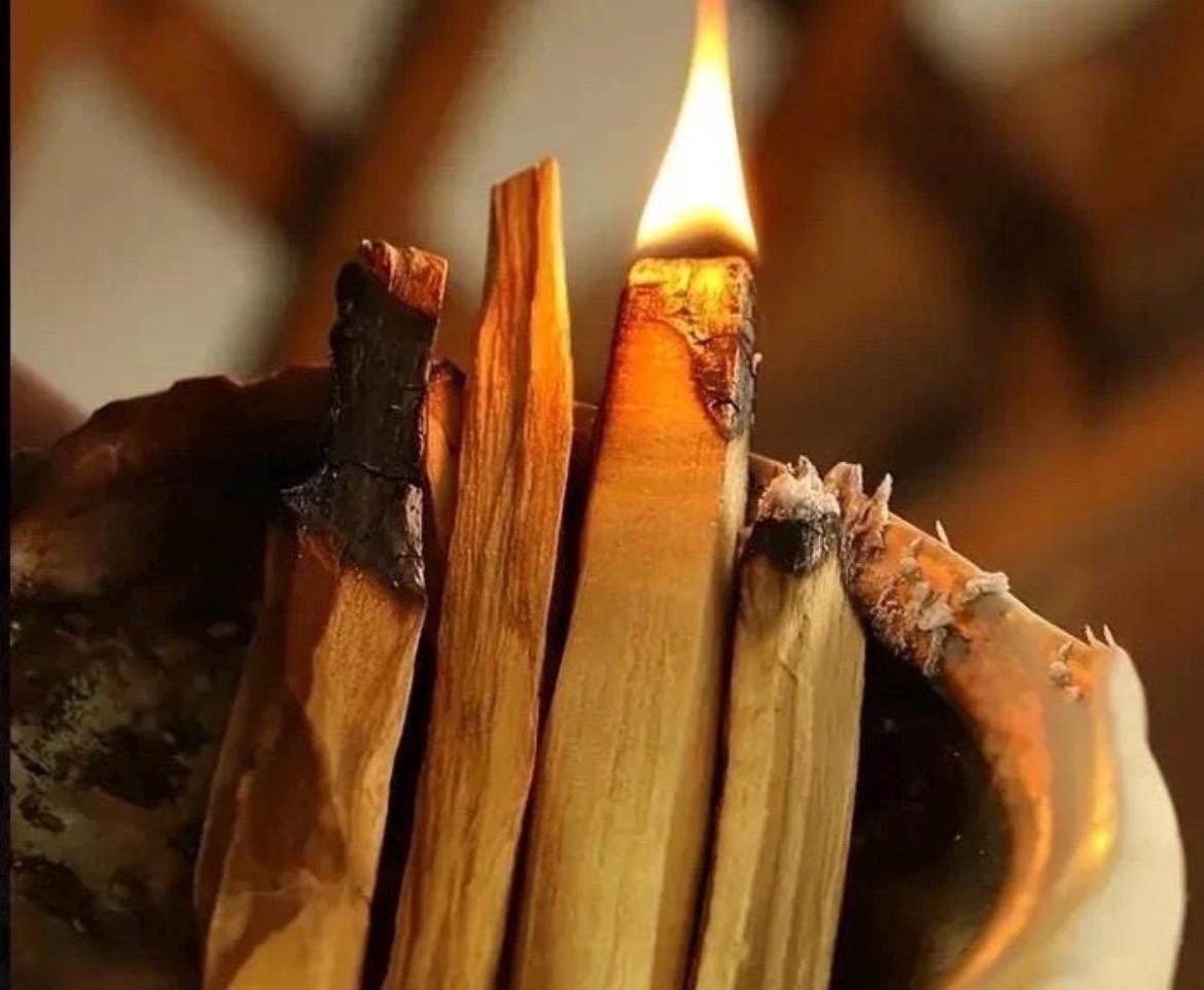 Peruvian Palo Santo Smudge Stick | Holy Wood Incense for Cleansing Meditation Ritual