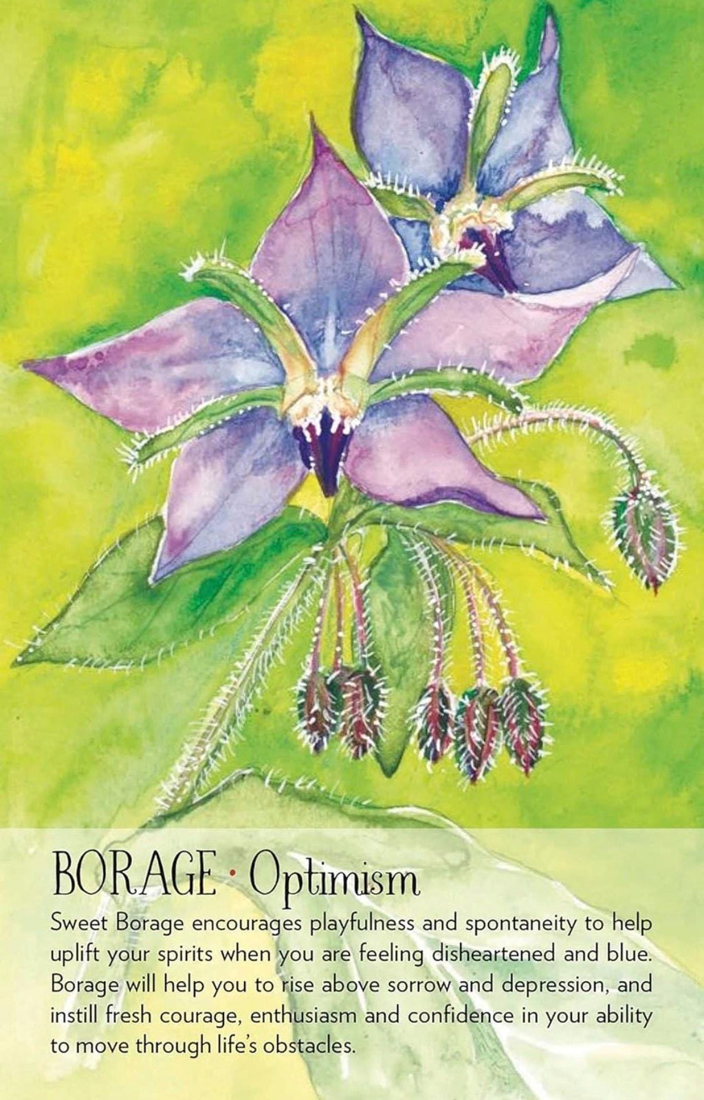 Soulflower Plant Spirit Oracle: 44-Card Deck and Guidebook