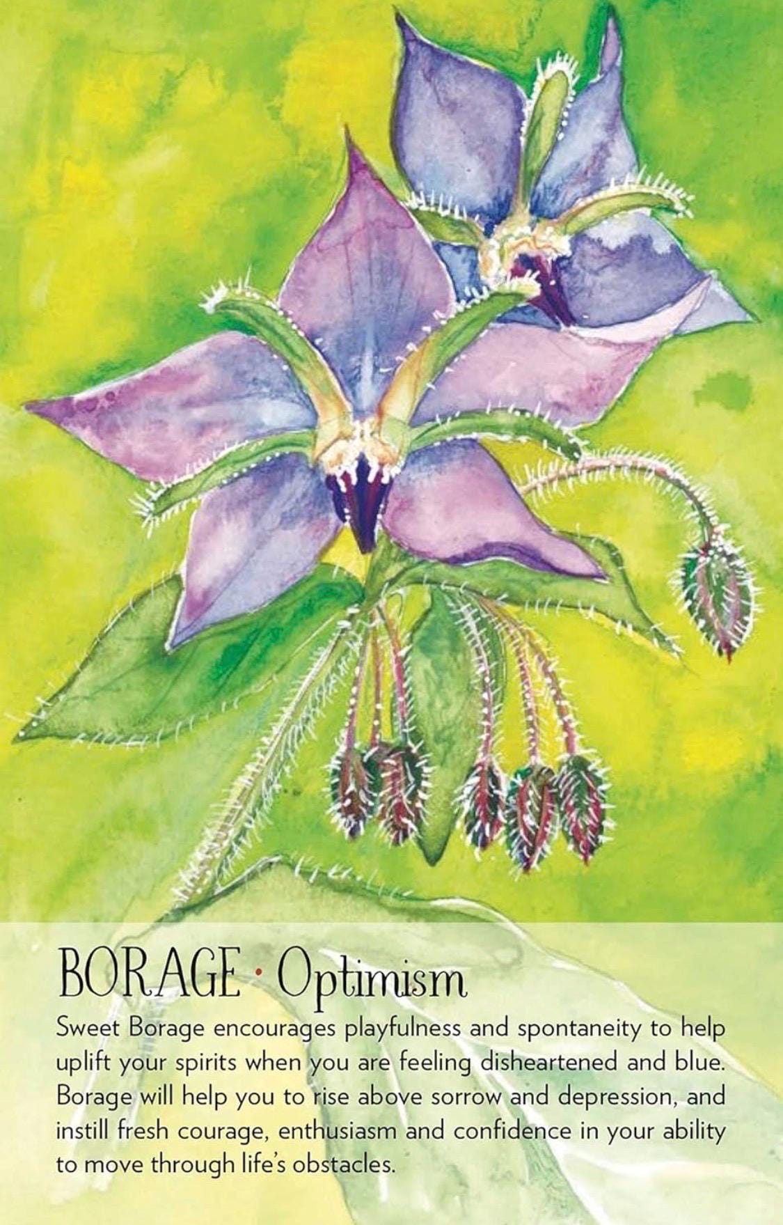 Soulflower Plant Spirit Oracle: 44-Card Deck and Guidebook